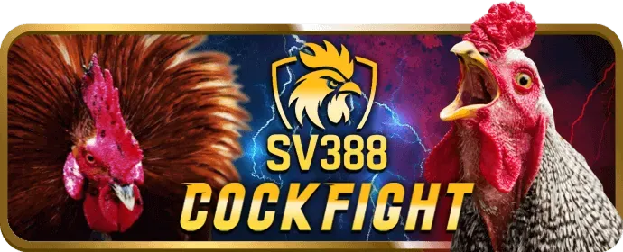 Hướng dẫn cài đặt W9BET iOS