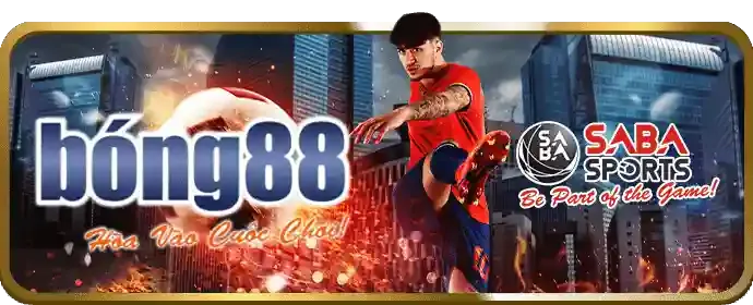 Hướng dẫn cài đặt W9BET Android